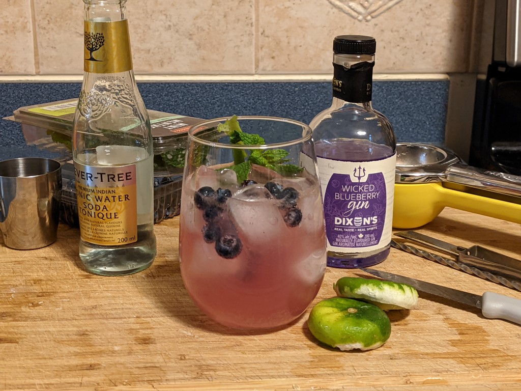 Blueberry gin-and-tonic